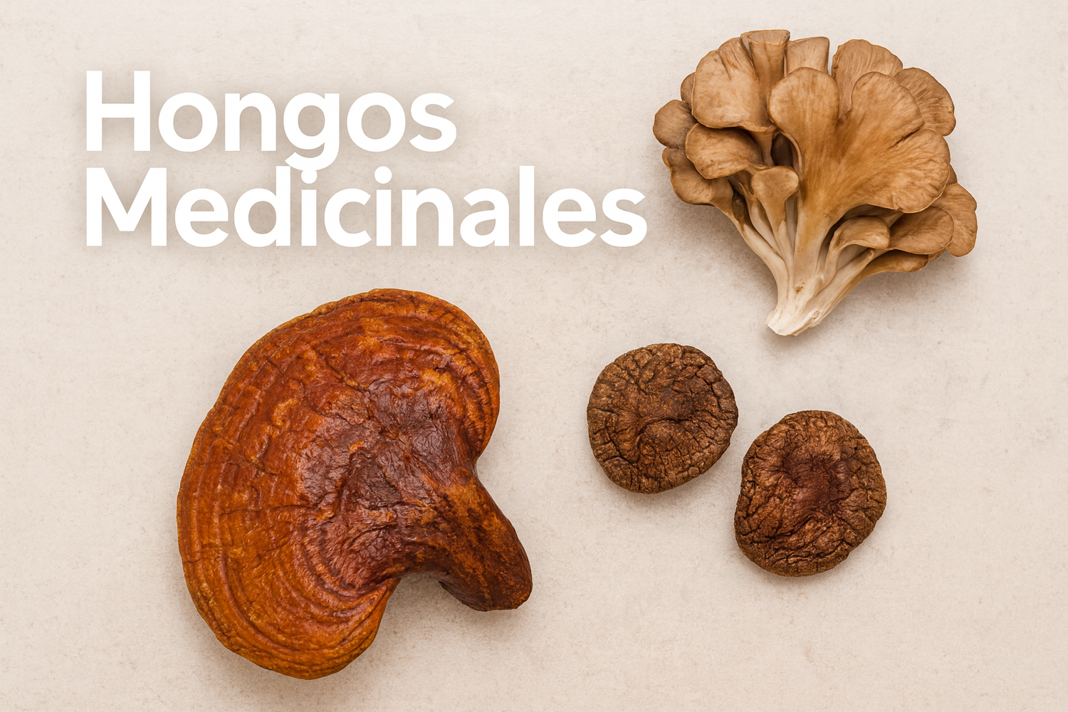 Hongos Medicinales